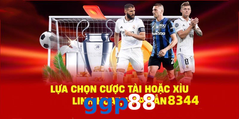 Danh mục đa dạng, đoán chuẩn là nhận tiền